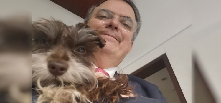 Marcelo Ebrard será un candidato influencer