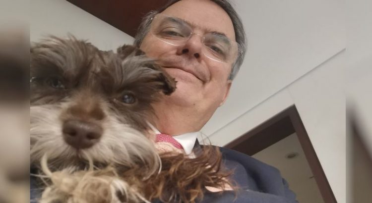 Marcelo Ebrard será un candidato influencer