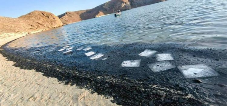 Grave daño ecológico en Playa Balandra