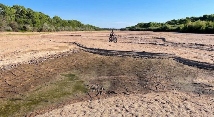 Sequía del Río Bravo amenaza con destruir especies