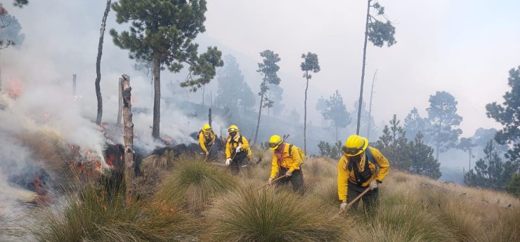 Pico de Orizaba registra un incendio; logran controlar el 50 %