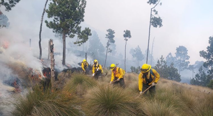 Pico de Orizaba registra un incendio; logran controlar el 50 %