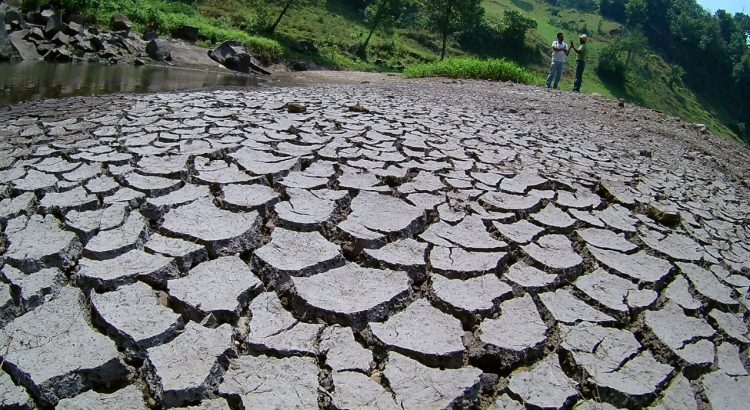 Aumentan los municipios veracruzanos con grado de sequía