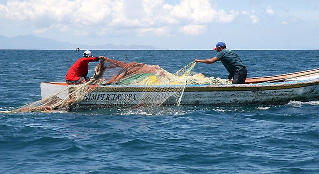 Pescadores de Veracruz se ven obligados a encontrar otro oficio debido a la baja producción
