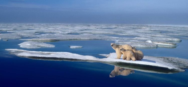 Podría el Ártico perder todo su hielo