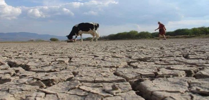 En Veracruz hay 7 municipios con sequía severa: Conagua