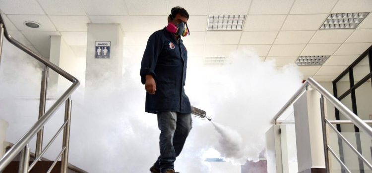 Diputado culpa al gobierno de Veracruz por no fumigar a tiempo contra el dengue
