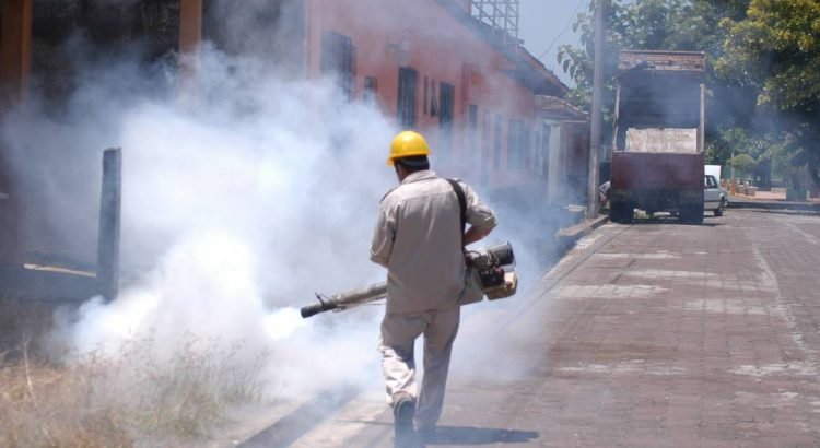 En el 2023 Veracruz superó las cifras de dengue