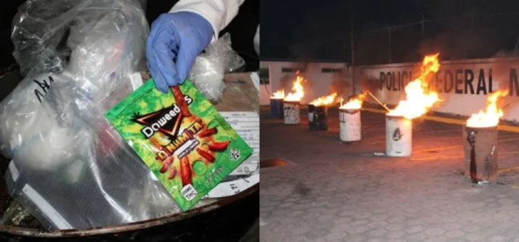 FGR incinera más de 200 kg de diversas drogas en Veracruz
