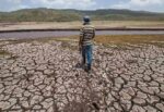 Más del 50% de los municipios de Veracruz sufren algún nivel de sequía