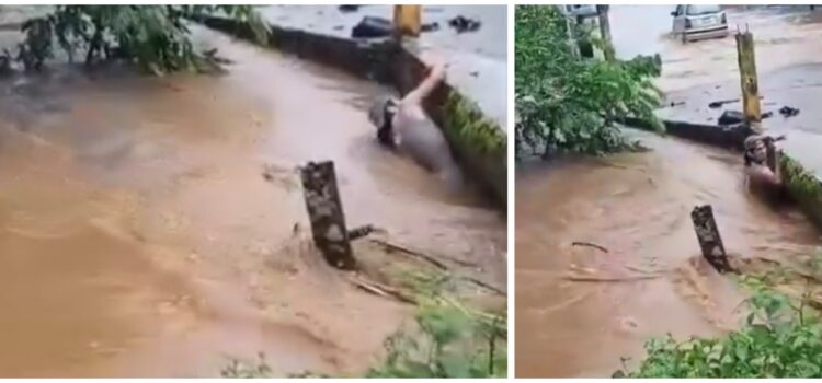 Graban a hombre mientras lo arrastra la corriente de un arroyo en Catemaco; video indigna en redes sociales