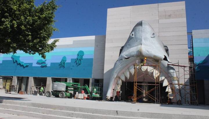 Cabezas de tiburón del estadio Luis “El pirata” de la Fuente serán nuevos atractivos del Aquarium de Veracruz