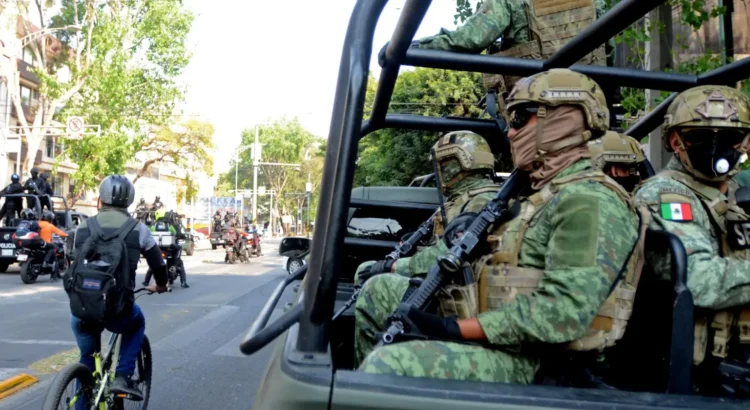 Confiscan 750 kilos de mariguana en el puerto de Veracruz