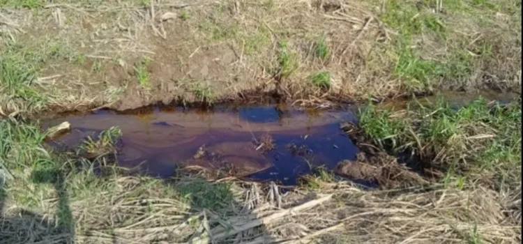Derrame en ducto de Pemex causa afectaciones a 200 familias al sur de Veracruz