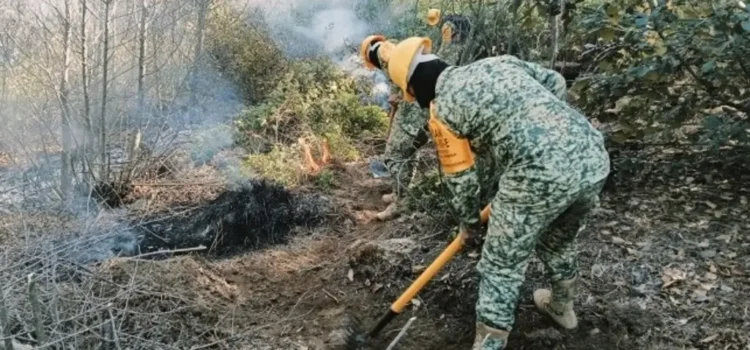 Sedena aplica Plan DN-III-E en incendio forestal en Perote, Veracruz Sedena aplica Plan DN-III-E en incendio forestal en Perote, Veracruz
