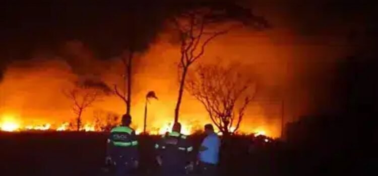 En una semana hubo cuatro incendios forestales en el estado