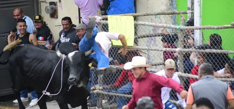 Saldo blanco en la suelta de toros en Tlacotalpan Saldo blanco en la suelta de toros en Tlacotalpan
