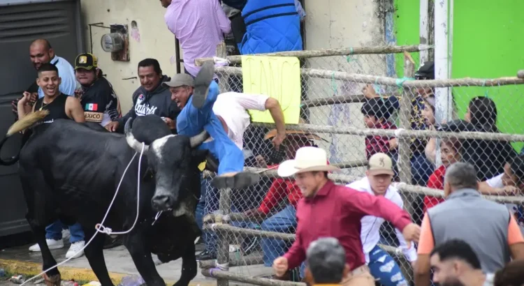 Saldo blanco en la suelta de toros en Tlacotalpan
