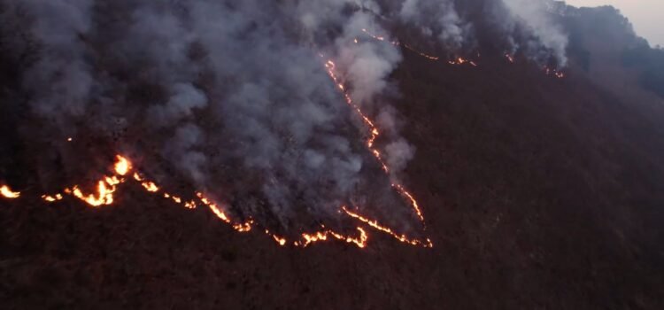 Lleva Veracruz 40 incendios forestales en este 2025