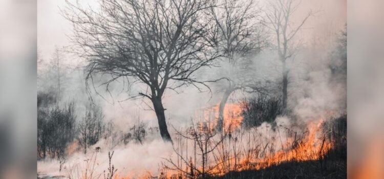 Anuncia sanciones para quienes provoquen incendios