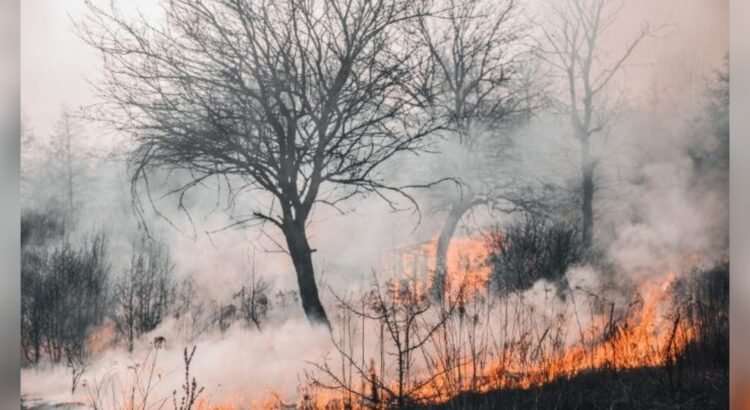 Anuncia sanciones para quienes provoquen incendios