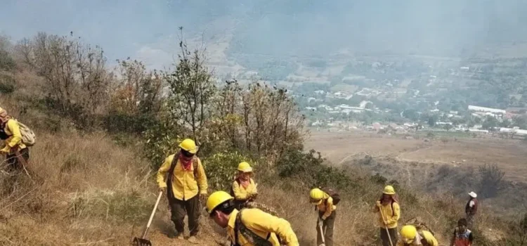 Reporta PC 60% de control y 40% de liquidación de incendio forestal en Aquila, Veracruz