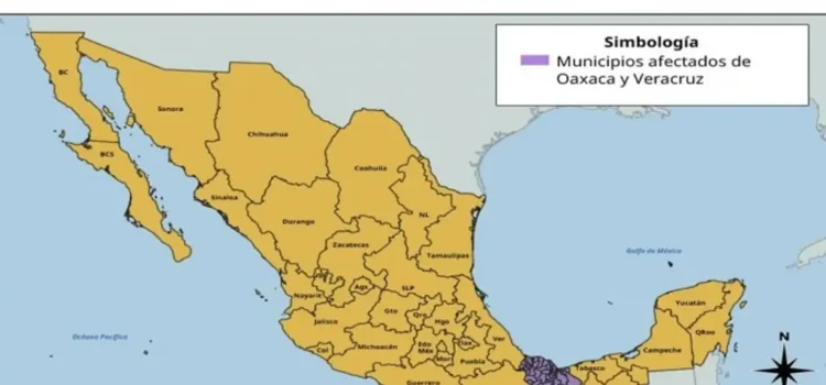 Activan protocolo de emergencia por gusano barrenador en Veracruz; liberan moscas estériles