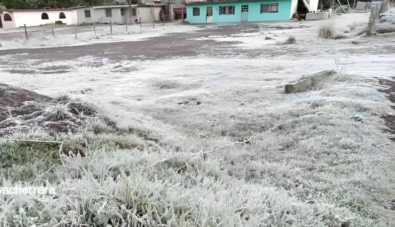 Reporta Conagua en el estado 3 días consecutivos con heladas