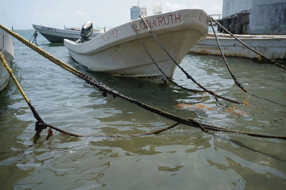 Afecta a más de 20 mil pescadores derrame en Veracruz