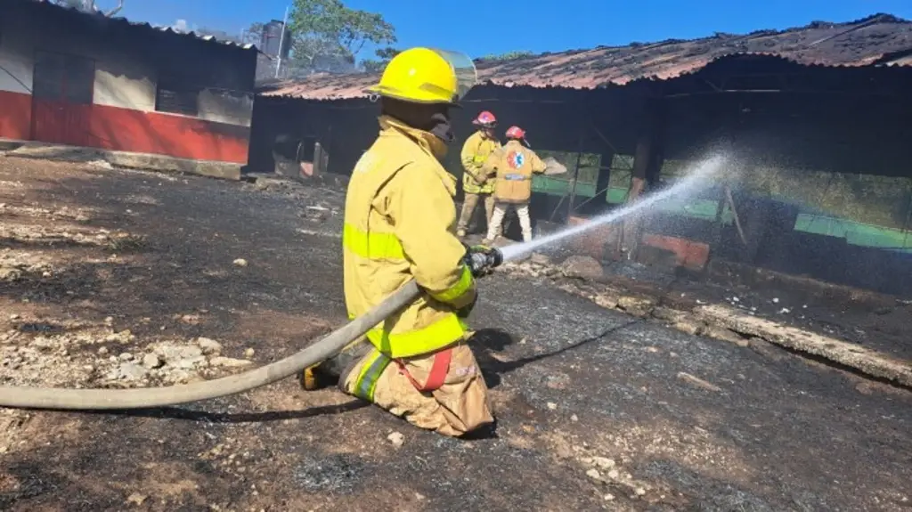Se incendia granja avícola en Fortín, Veracruz; mueren miles de pollitos