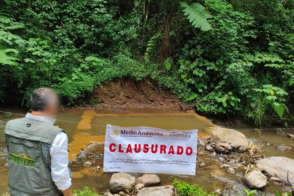 Profepa clausura presa construida sin permisos en arroyo de Xico